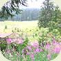 flore jura